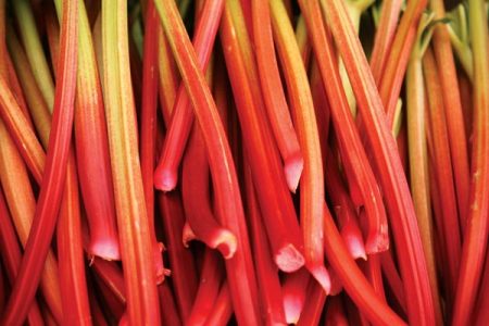 Sweet and Savory Recipes for Rhubarb Image